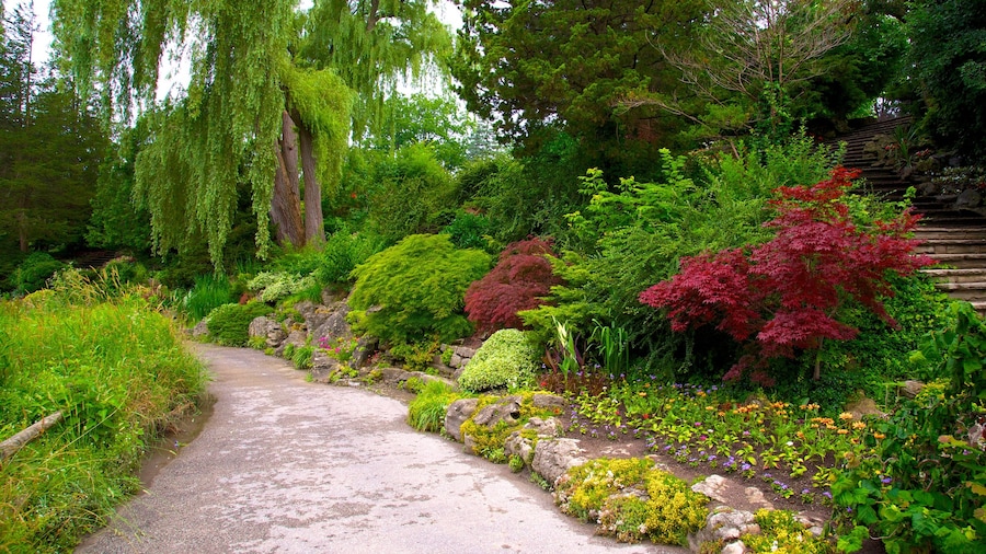 Edward Gardens
