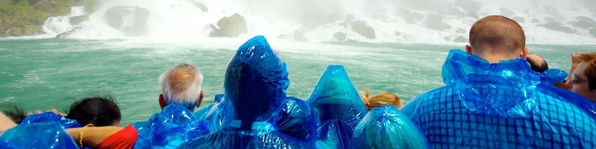 Maid of the Mist featuring mist or fog, a cascade and views