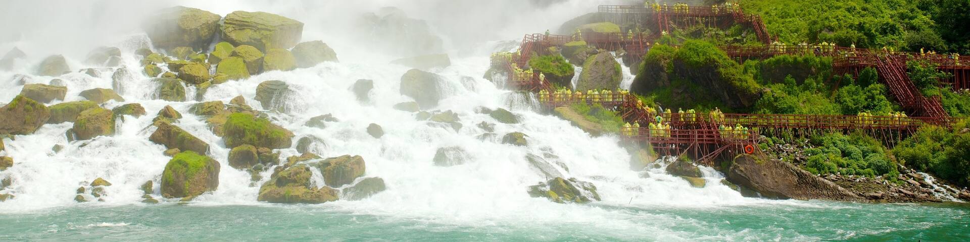 Maid of the Mist featuring a cascade and views