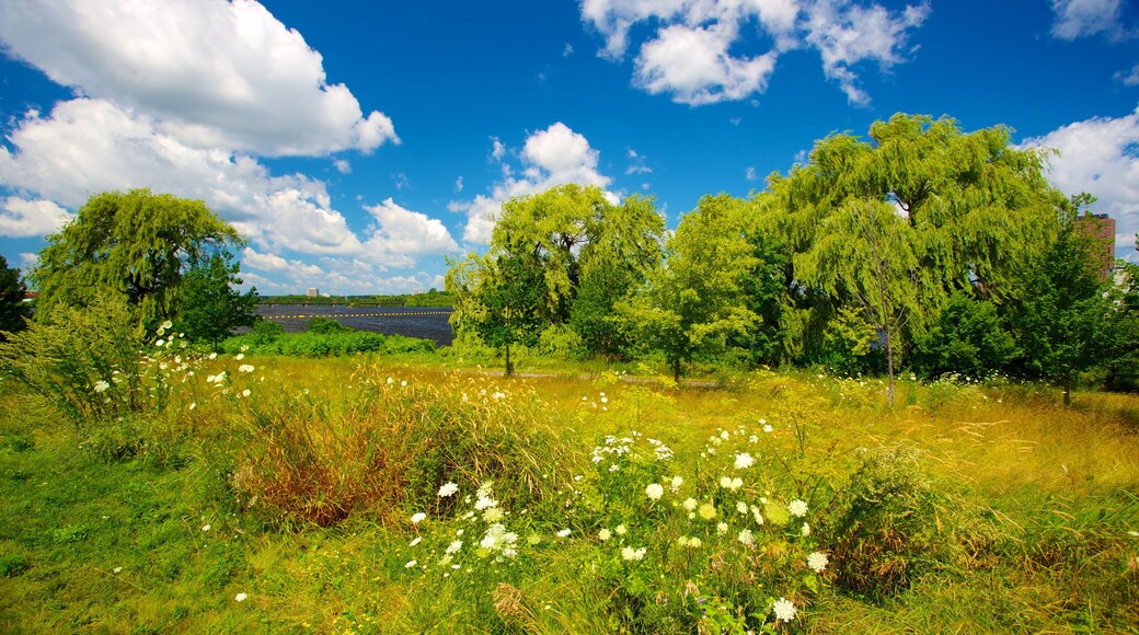 Canadian War Museum featuring wild flowers