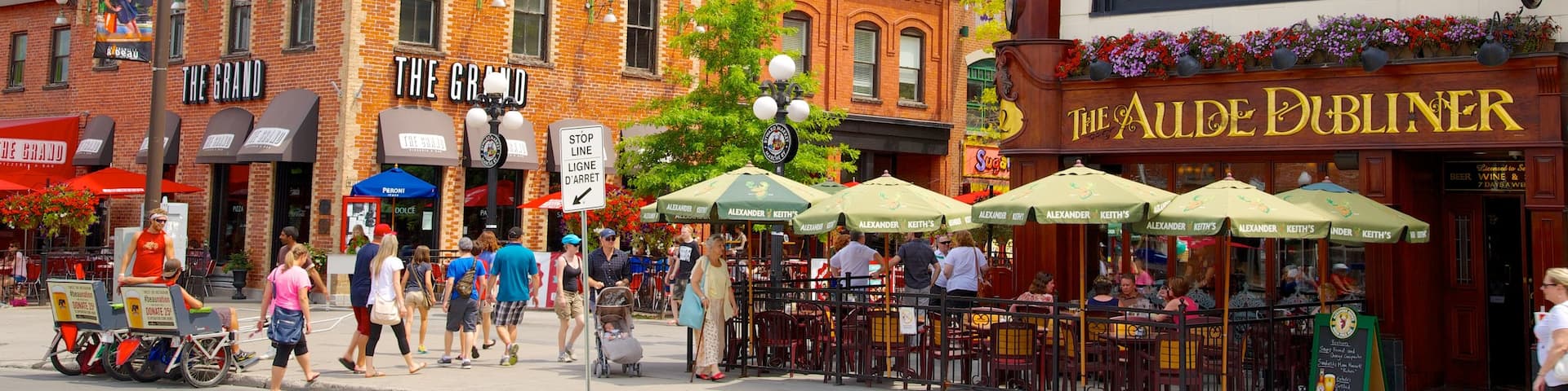 Byward Market featuring markets, outdoor eating and street scenes