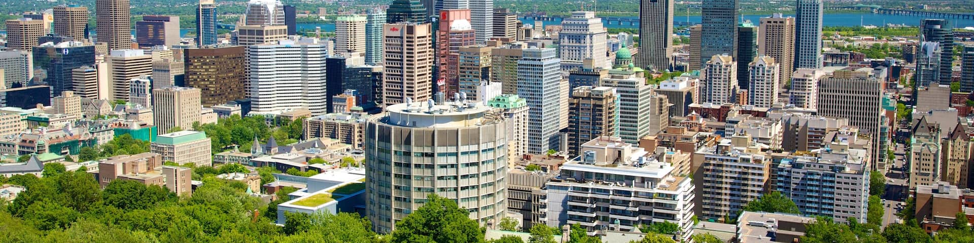 Mount Royal Park showing landscape views, cbd and a city