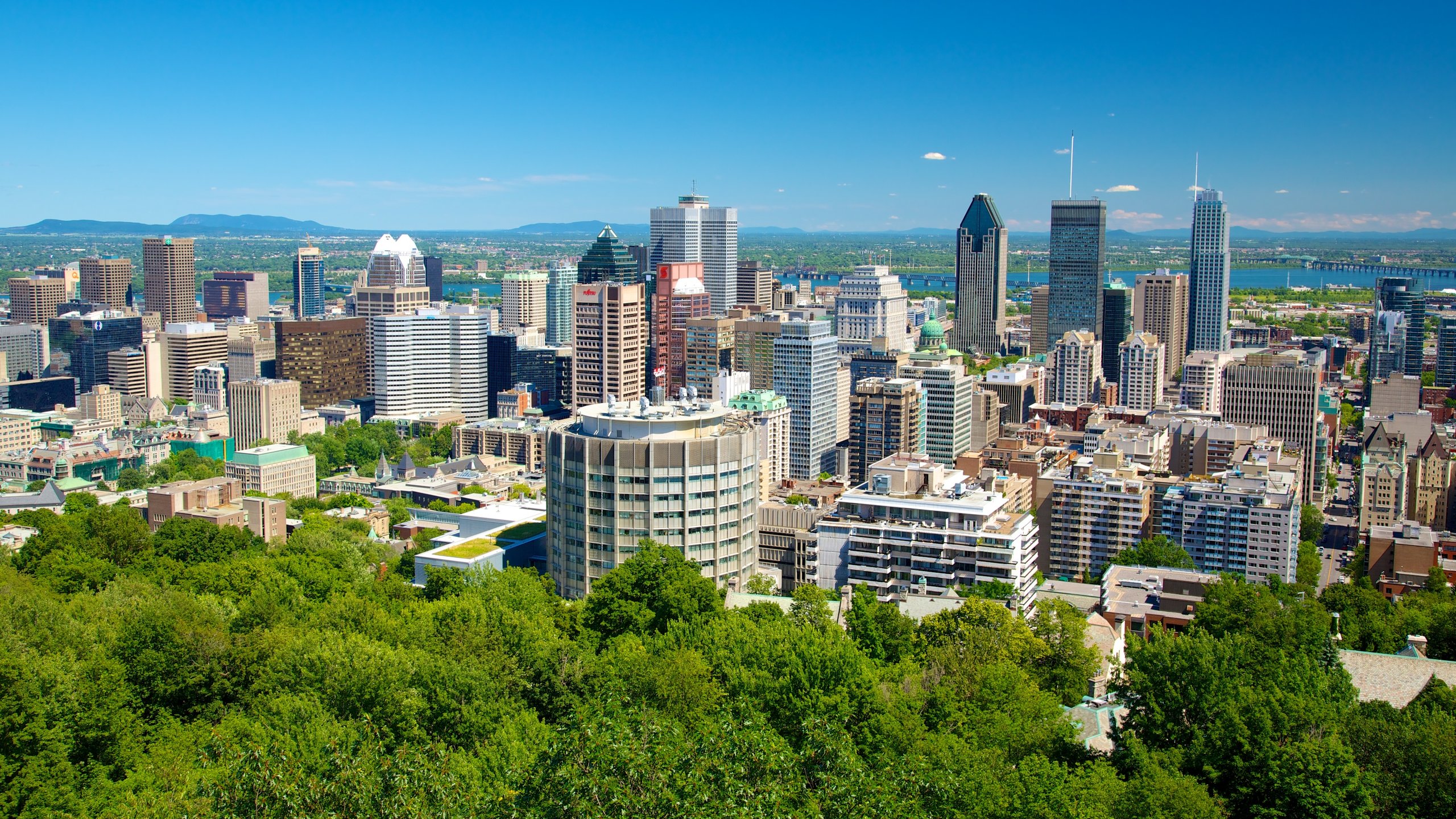 Panoramic view of Montreal city skyline from Mount Royal Park.