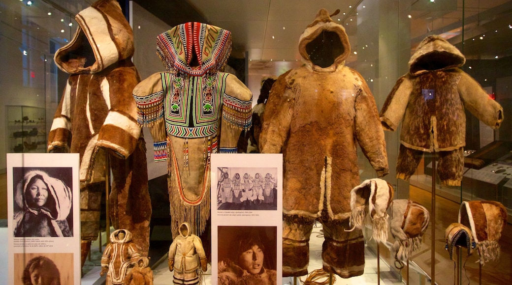 Royal Ontario Museum showing interior views