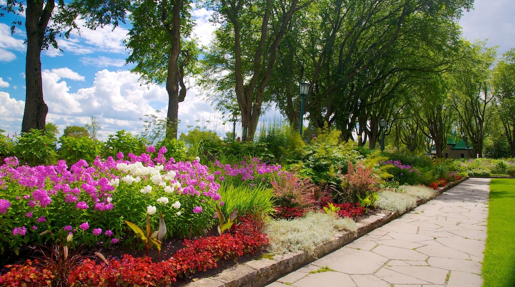 Battlefields Park showing flowers and a park