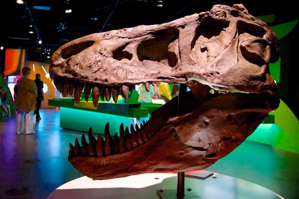 Planétarium de Montréal montrant vues intérieures