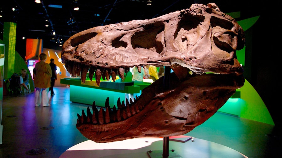 Planétarium de Montréal montrant vues intérieures