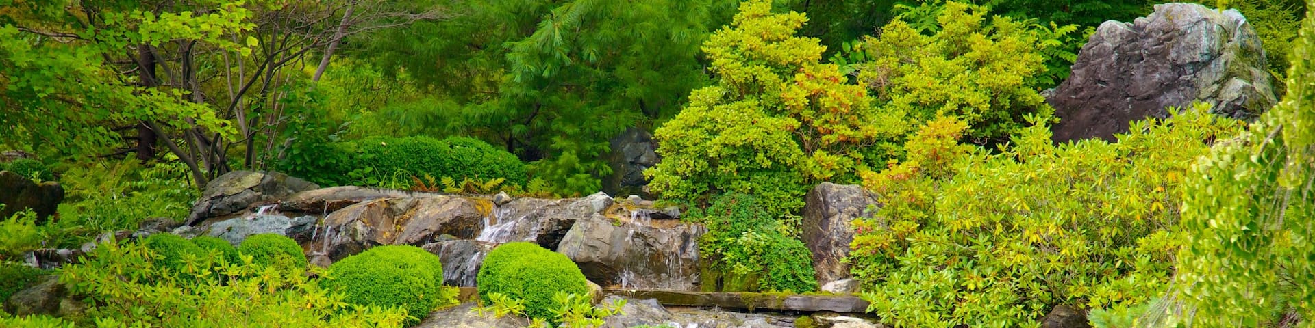 Montreal Botanical Garden welches beinhaltet Teich, Fluss oder Bach und Park