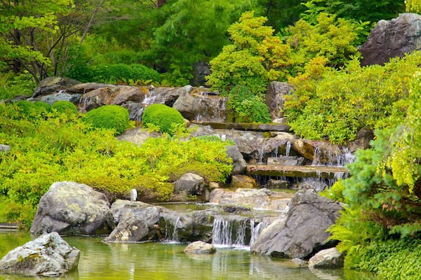 Jardin botanique de Montréal mettant en vedette parc, rivière ou ruisseau et mare