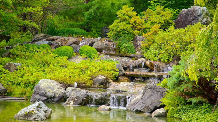 Jardin botanique de Montréal mettant en vedette parc, rivière ou ruisseau et mare