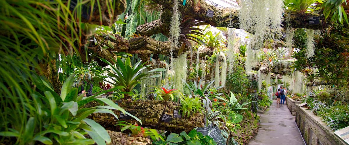 Montreal Botanical Garden showing a garden and interior views