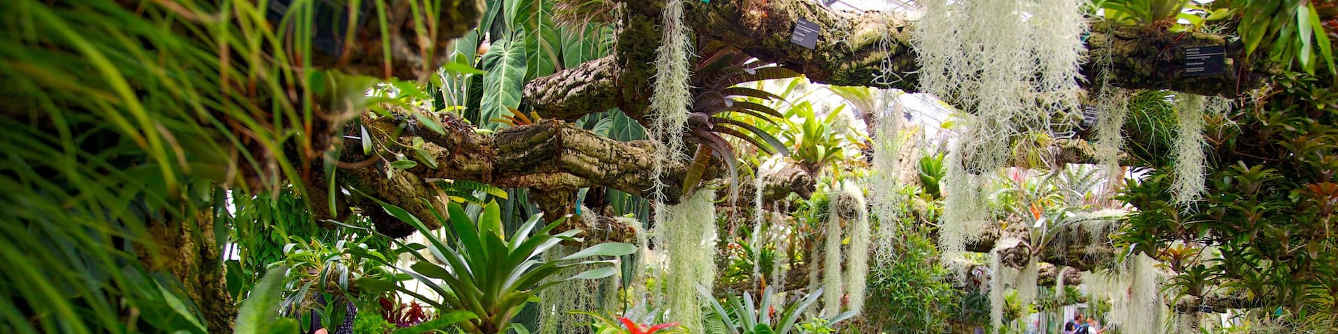 Montreal Botanical Garden das einen Innenansichten und Park