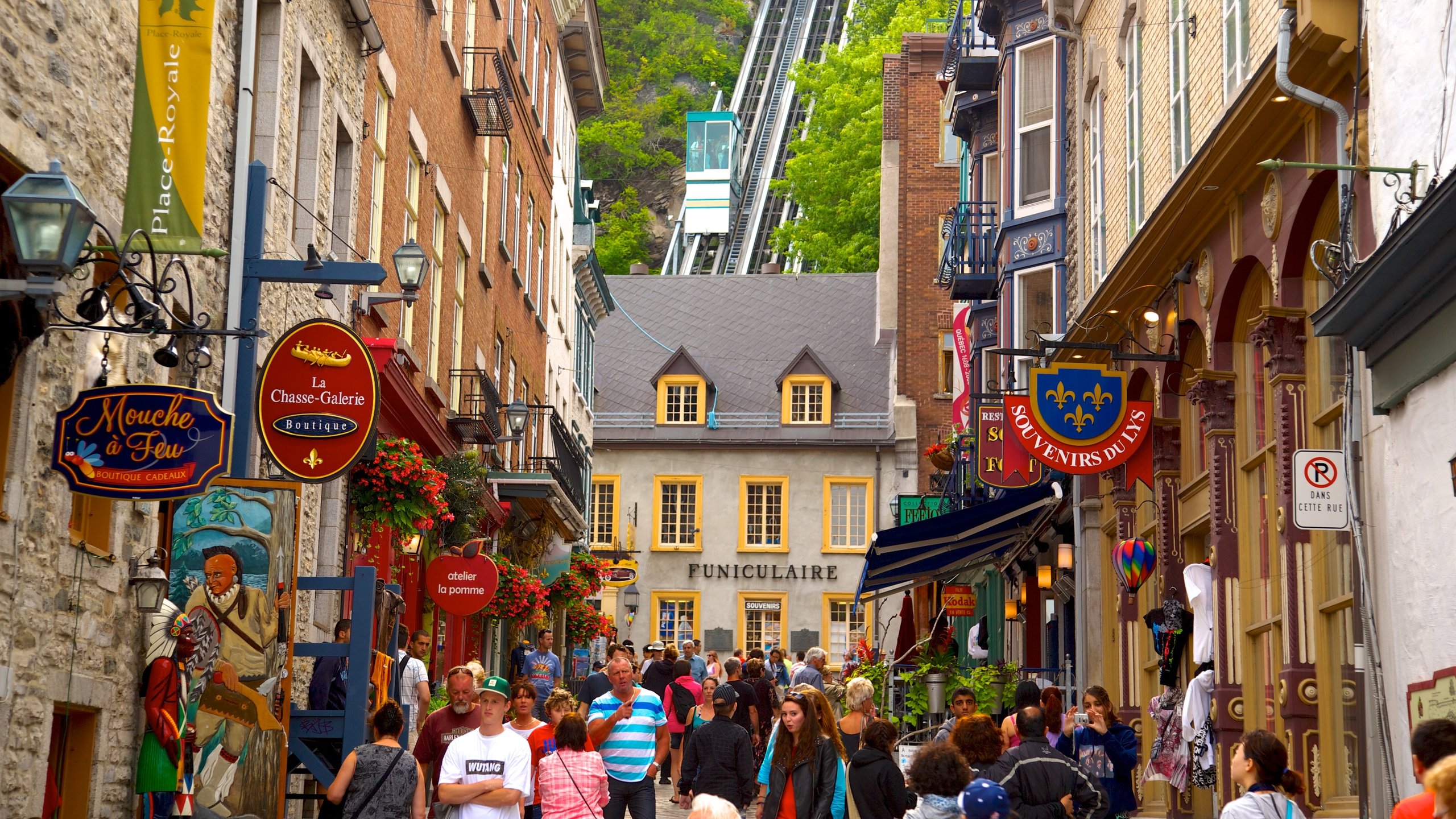 Old Quebec which includes street scenes, signage and a city