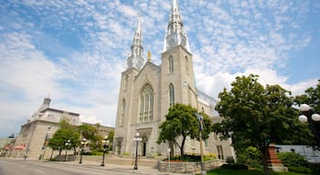 Notre-Dame Cathedral Basilica som visar historisk arkitektur, religiösa aspekter och historiska element