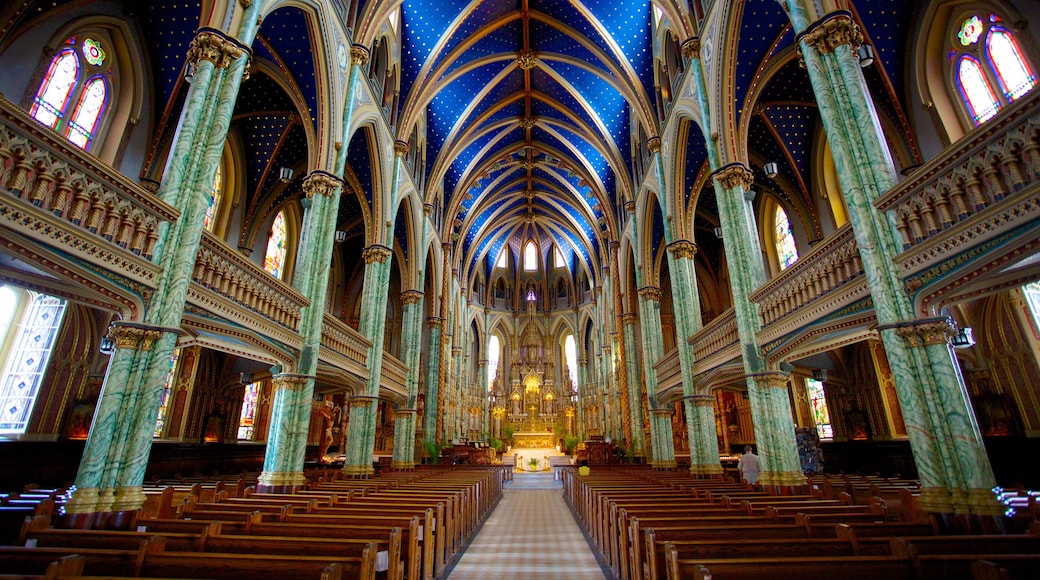 Notre-Dame Cathedral Basilica showing interior views, a church or cathedral and religious elements