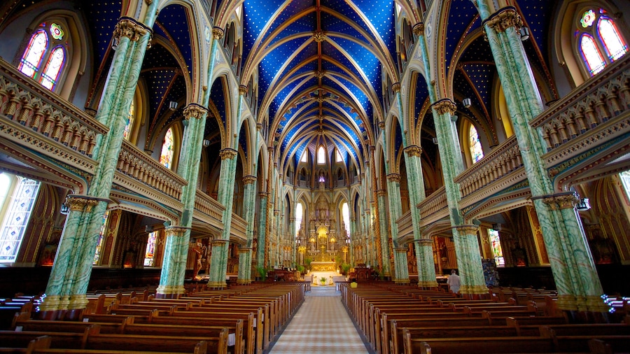Basilica di Notre Dame caratteristiche di elementi religiosi, chiesa o cattedrale e architettura d\'epoca
