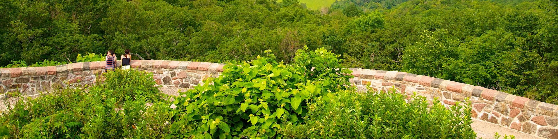 Gatineau Park showing a garden, tranquil scenes and views