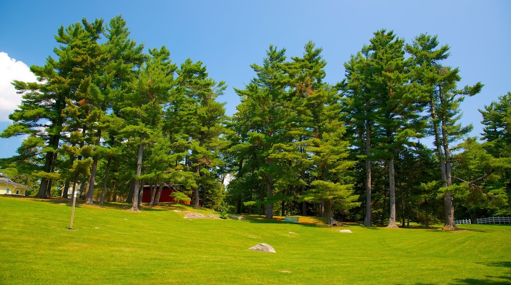 Gatineau Park featuring a park