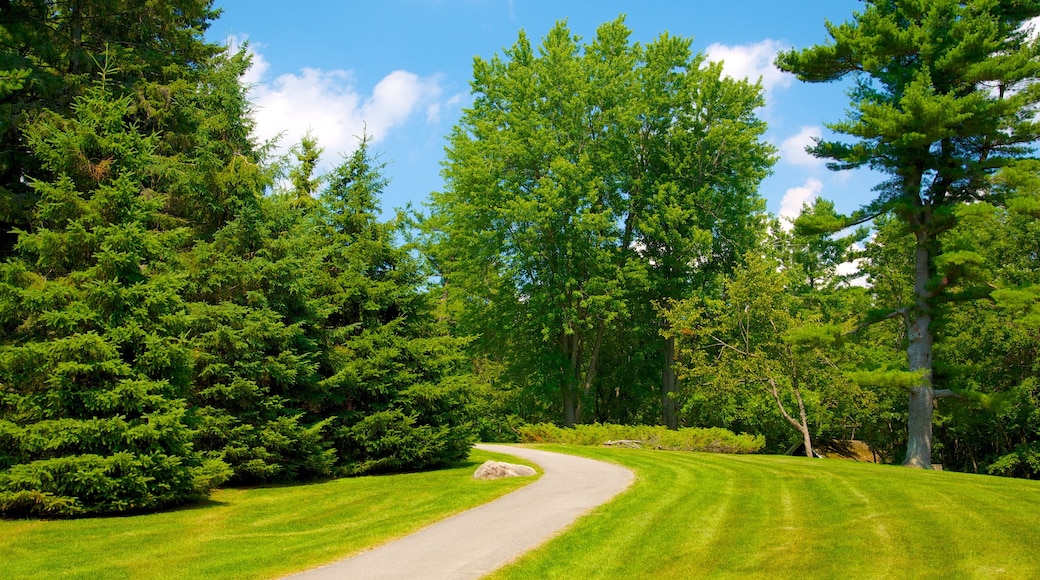 Gatineau Park featuring a garden