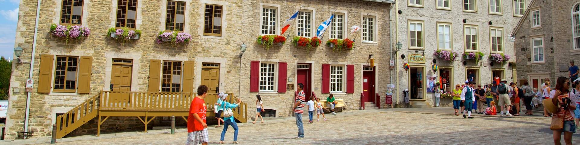 Place Royale showing a city, a square or plaza and heritage architecture