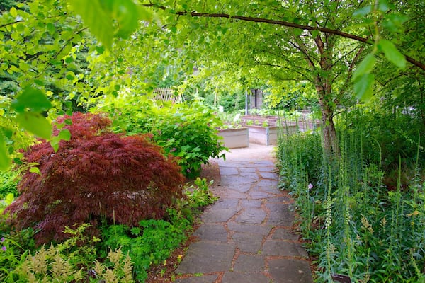 Toronto Botanical Garden featuring a garden