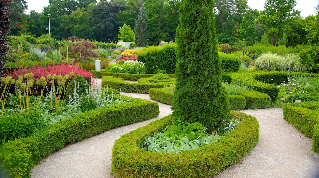 Toronto Botanical Garden showing a garden