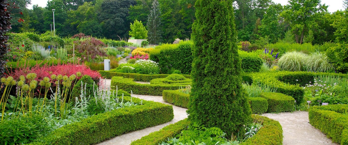 Toronto Botanical Garden which includes a garden