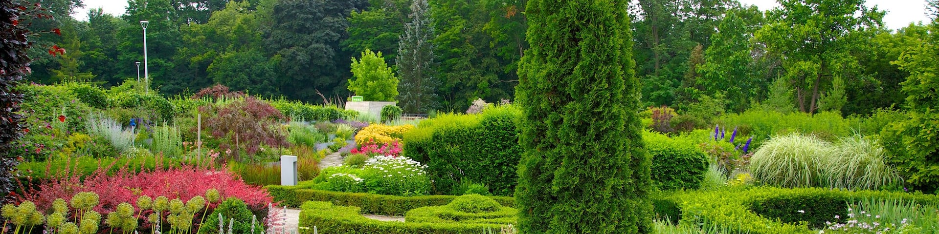 Toronto Botanical Garden which includes a park