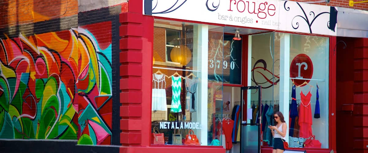 Plateau Mont Royal qui includes ville, scĂšnes de rue et art en plein air