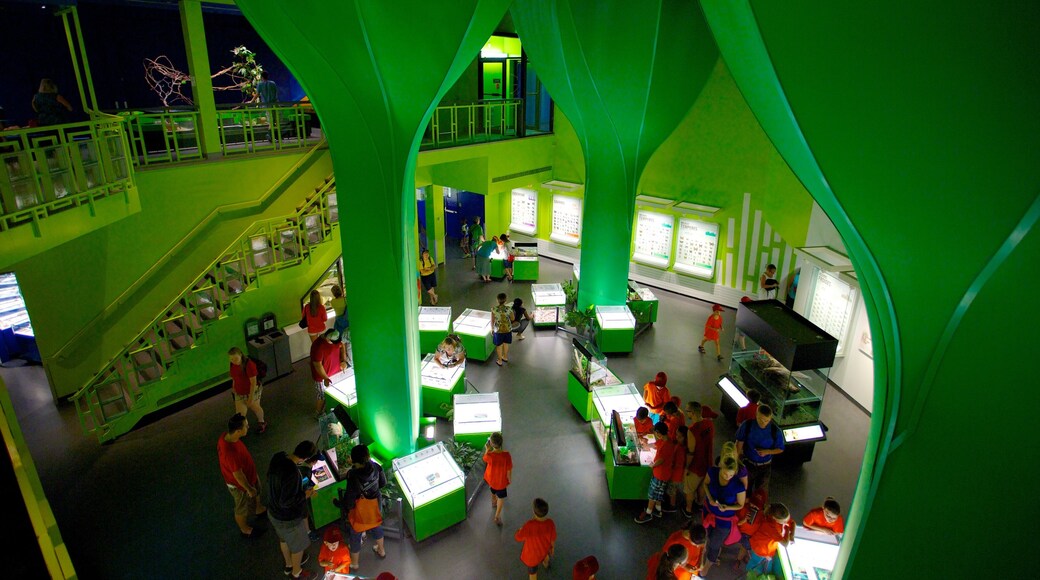 Montreal Insectarium featuring sisäkuvat sekä suuri ryhmä ihmisiä