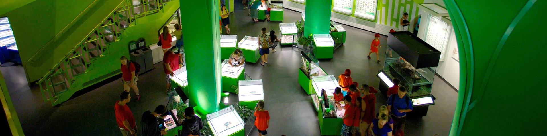 Insectarium de Montréal montrant vues intérieures aussi bien que important groupe de personnes