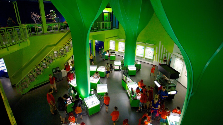 Insectarium de Montréal montrant vues intérieures aussi bien que important groupe de personnes