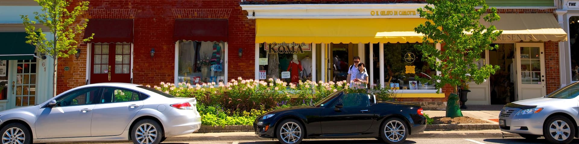 Niagara-on-the-Lake showing a small town or village and street scenes as well as a couple