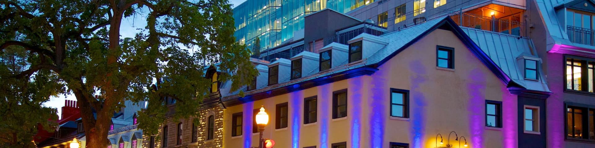 Grande Allee which includes dining out, night scenes and a city