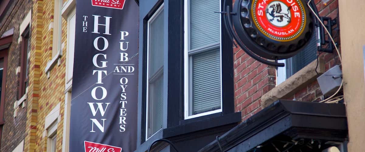Little Italy showing a bar and signage