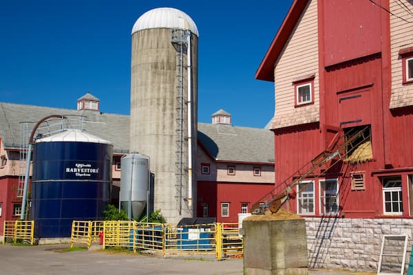 Musée de l\'agriculture du Canada montrant éléments industriels