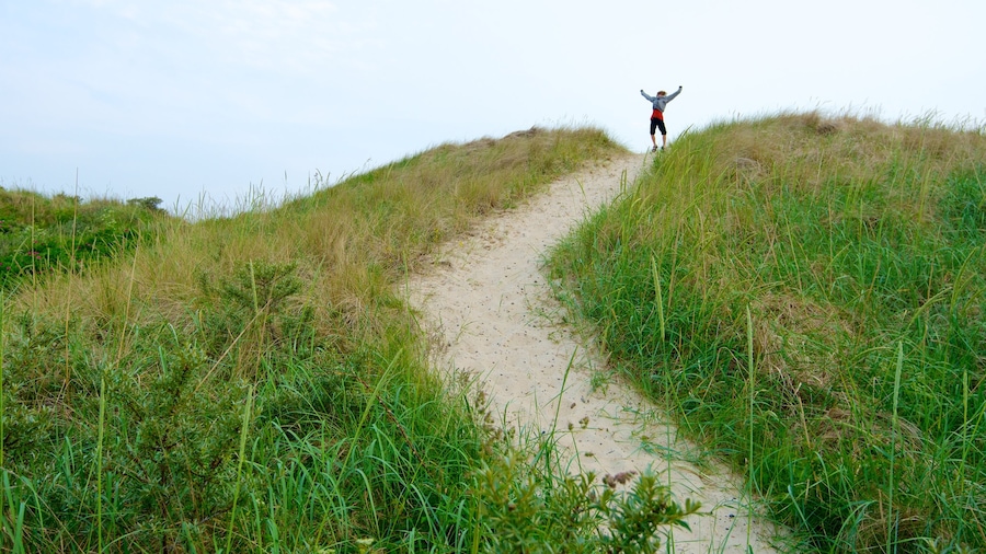 Skagen featuring tranquil scenes and hiking or walking