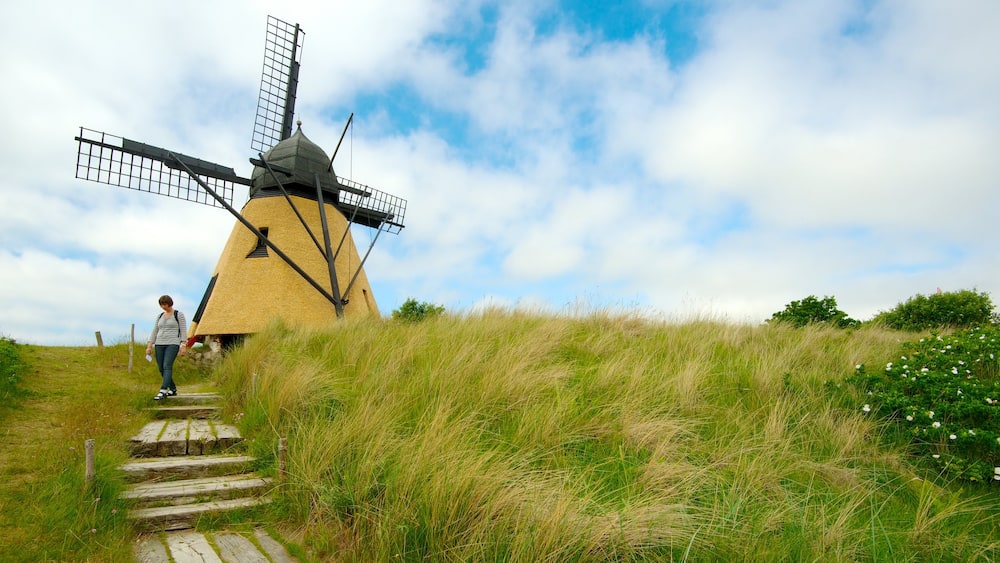 Skagen showing a windmill as well as an individual female