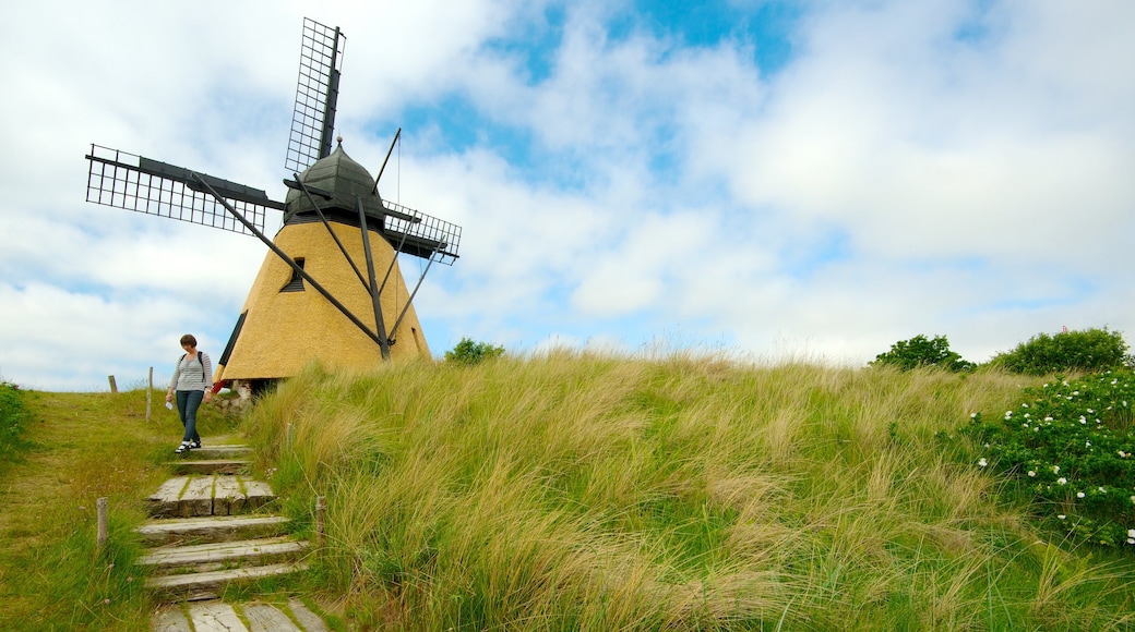 Skagen featuring a windmill as well as an individual femail