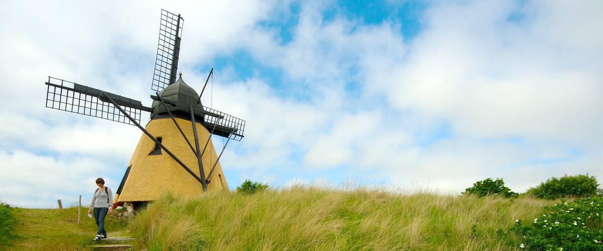 Skagen ofreciendo un molino de viento y también una mujer