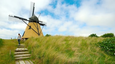 Skagen welches beinhaltet Windmühle sowie einzelne Frau