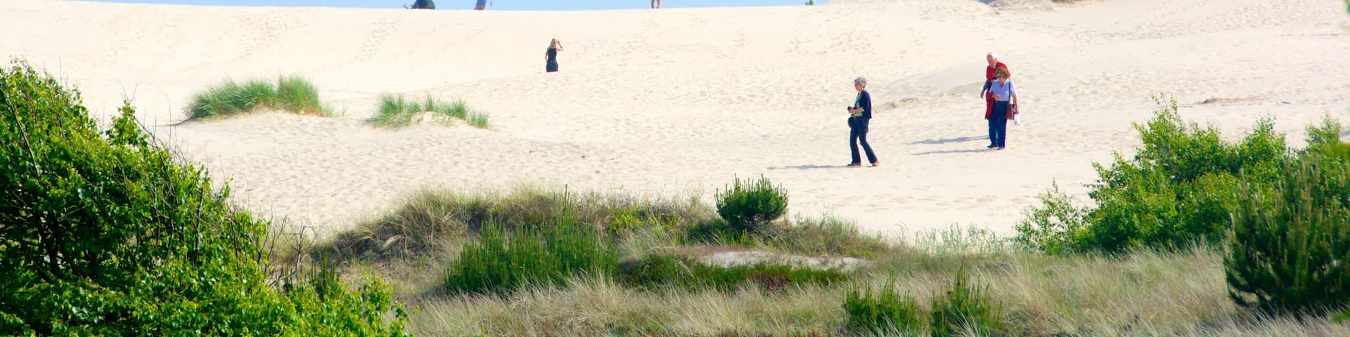 Rabjerg Mile フィーチャー ビーチ と 海岸線の眺め