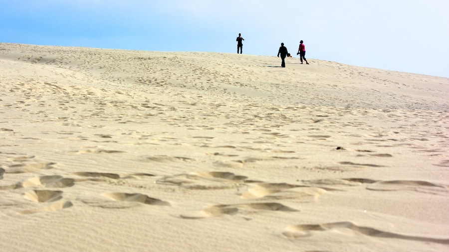 Raabjerg Mile showing a sandy beach, general coastal views and hiking or walking