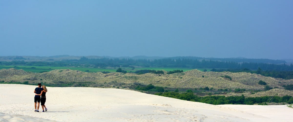 Raabjerg Mile which includes general coastal views, landscape views and hiking or walking