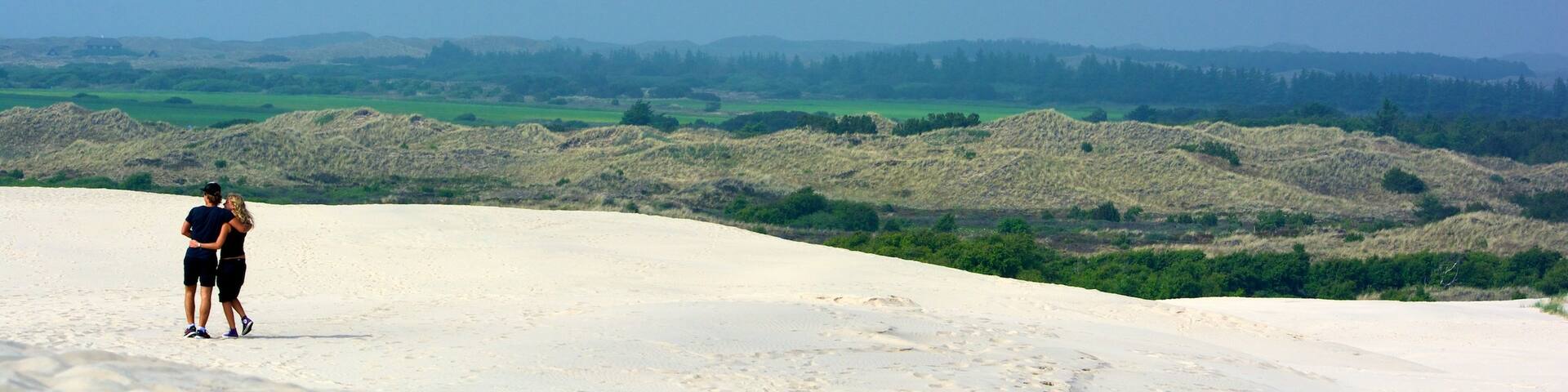 Raabjerg Mile showing landscape views, general coastal views and hiking or walking