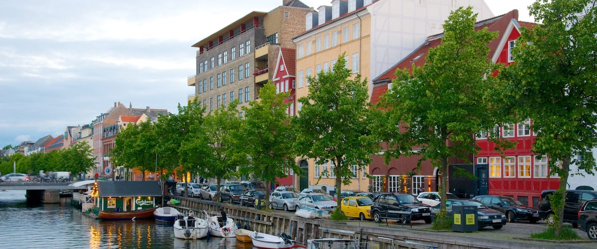 Copenhagen showing a city and a marina