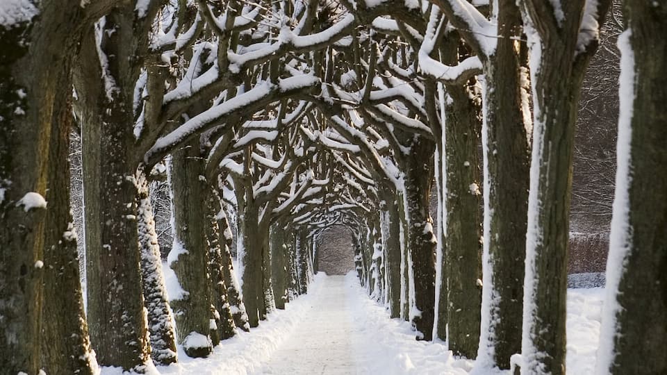 Aarhus das einen Schnee und Park