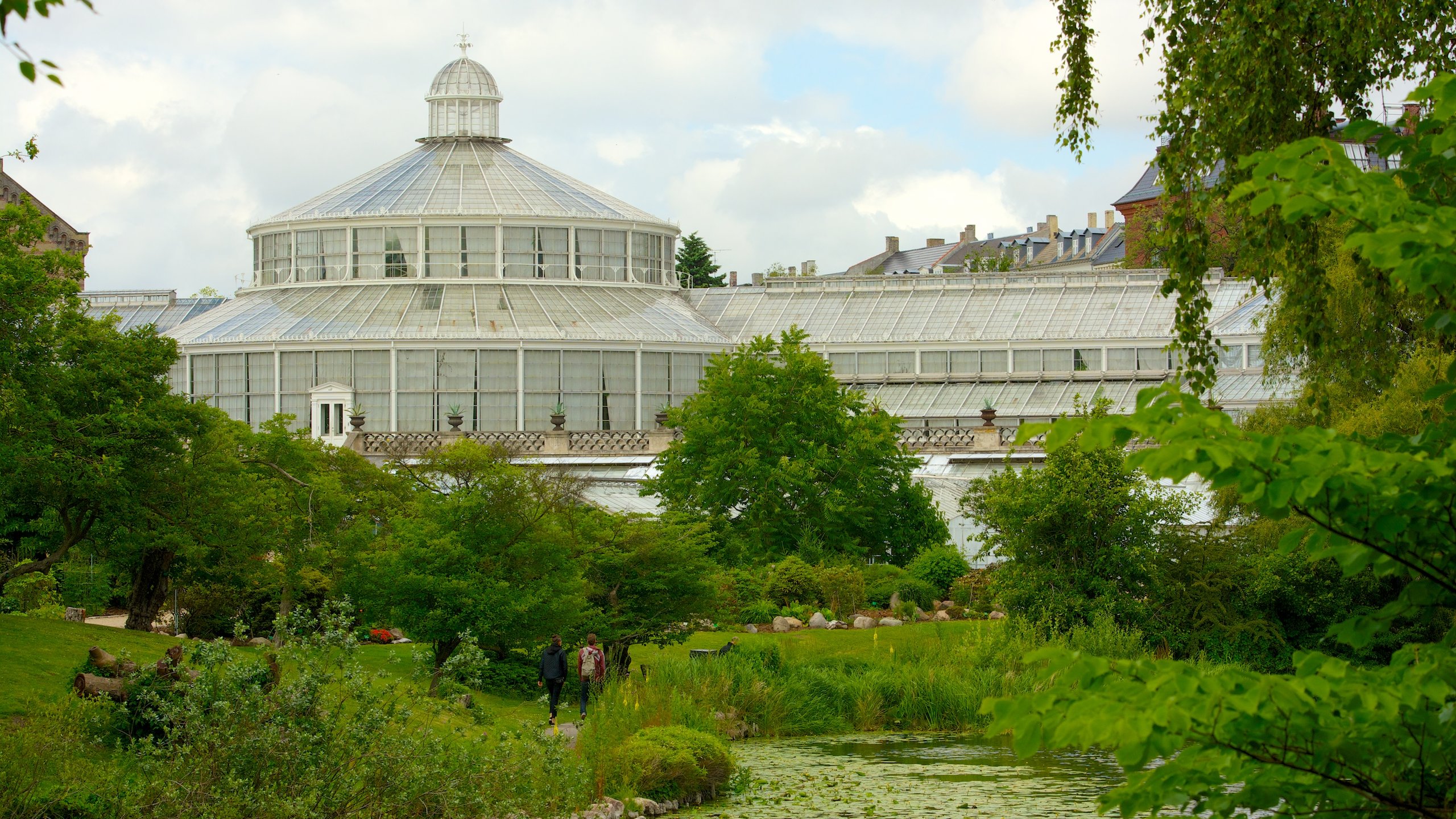 Botanischer Garten in Copenhagen City Centre - Touren und Aktivitäten |  Expedia.de