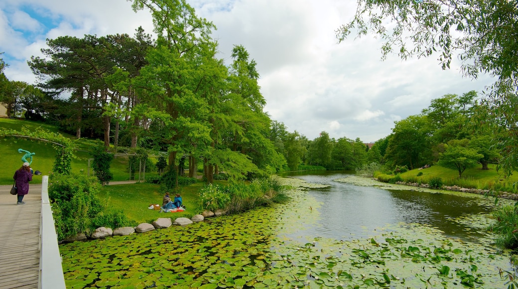 Botanical Garden featuring a river or creek, a bridge and a garden