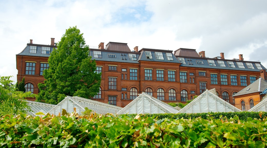 Botaniska trädgården som visar en park och historisk arkitektur